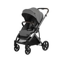 Stroller & Car Seat