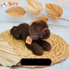 Boneka Animal Gemoy Size Large