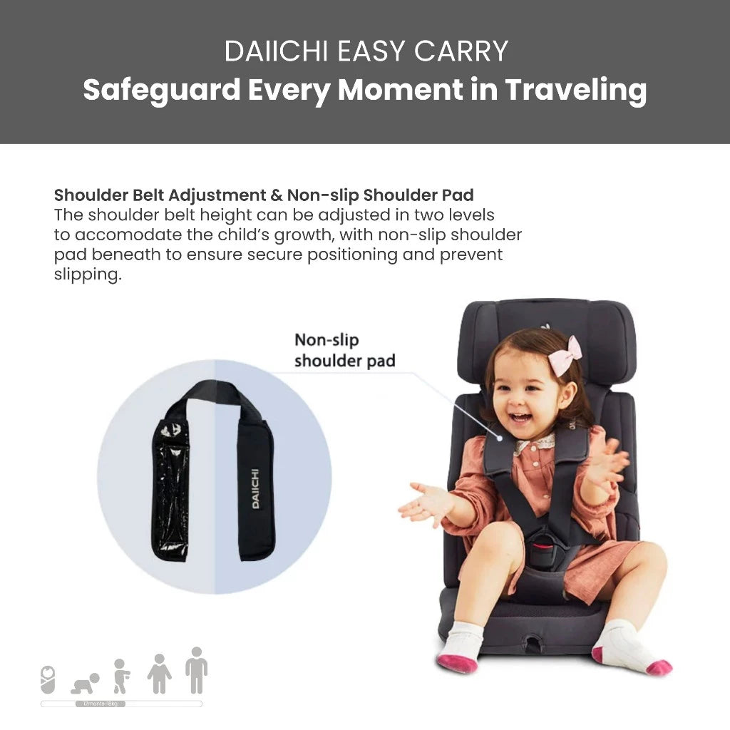 Daiichi Carseat Easy Carry Black / Charcoal
